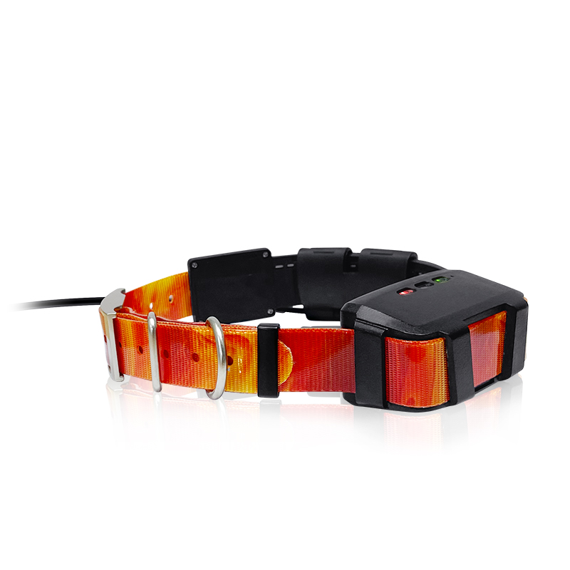 Outdoor Hunting Dog Collar - 2023 Trending Product Outdoor Hunting Gear
