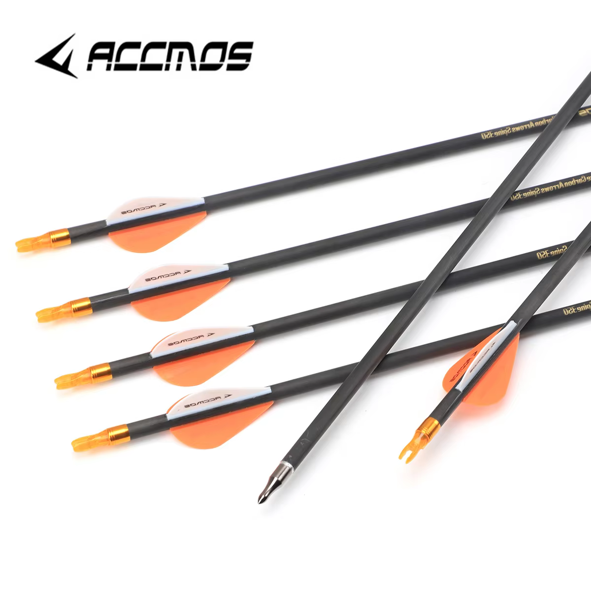 6/12pc Spine 300 350 400 500 6 – обзор и цена Hunting Bow Compound