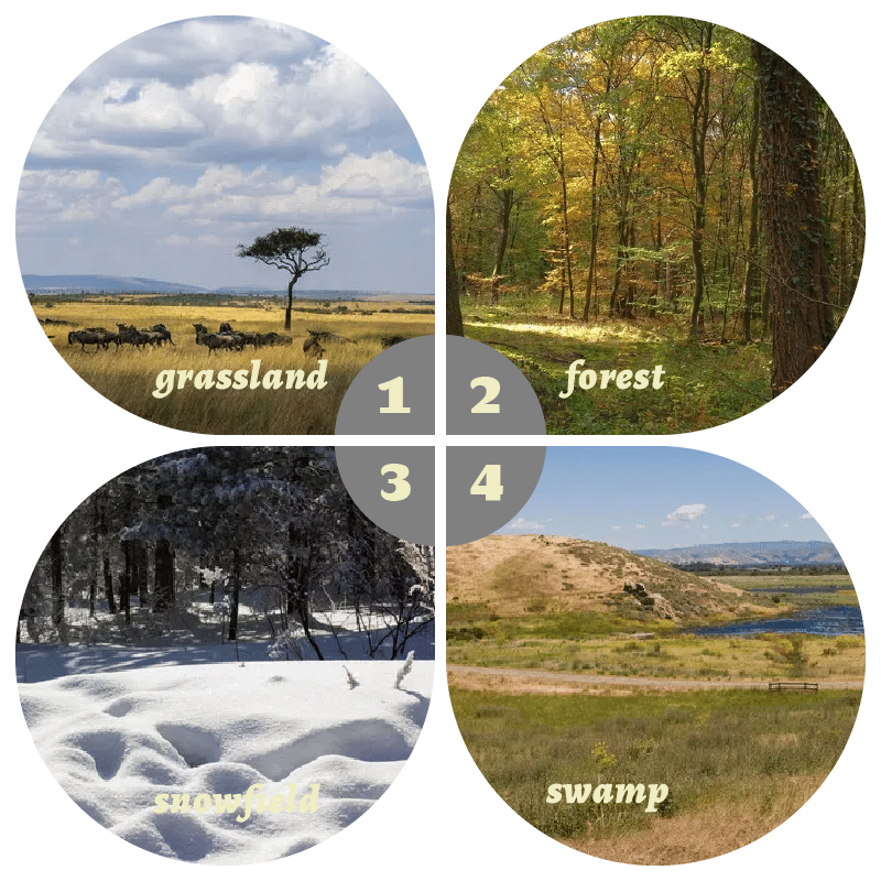Camouflage Pop-Up Hunting Blin – обзор и цена Hunting & Outdoor Supplies Photos