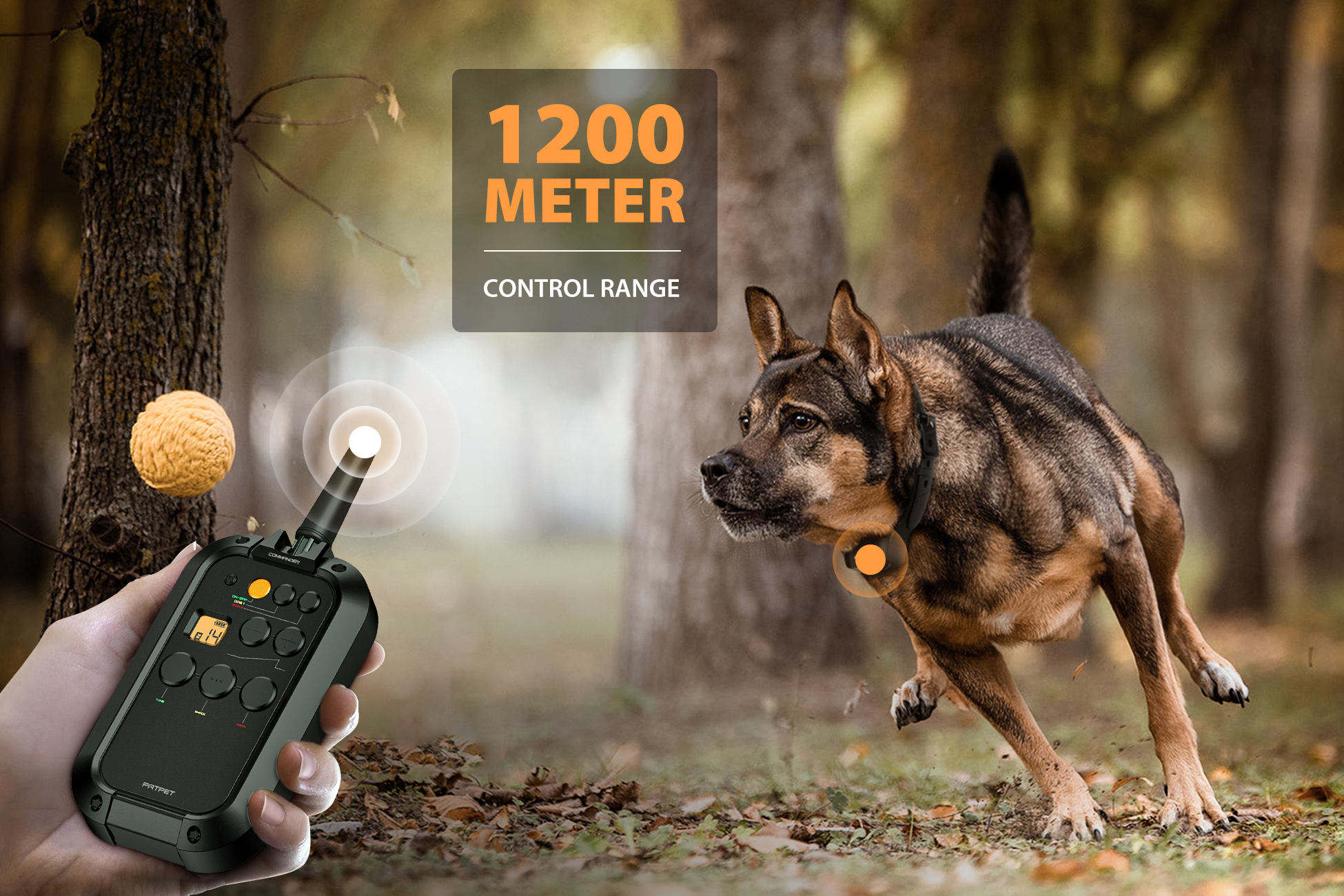 PATPET Professional Dog Traini – обзор и цена Outdoor Hunting Dog Collar