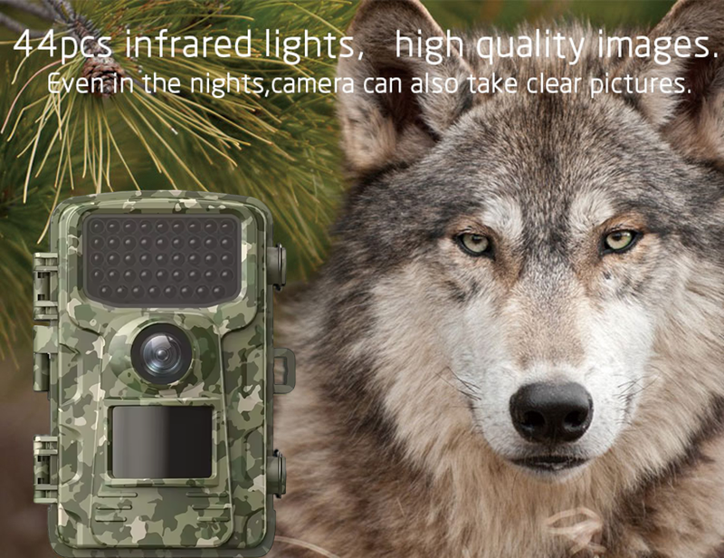 Outdoor Sports Hunting Cameras – обзор и цена Outdoor Hunting Videos