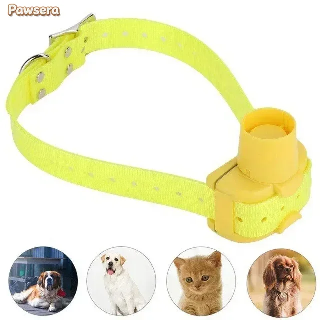 Pawsera Outdoor Hunting Dog Co – обзор и цена Outdoor Hunting Dog Collar