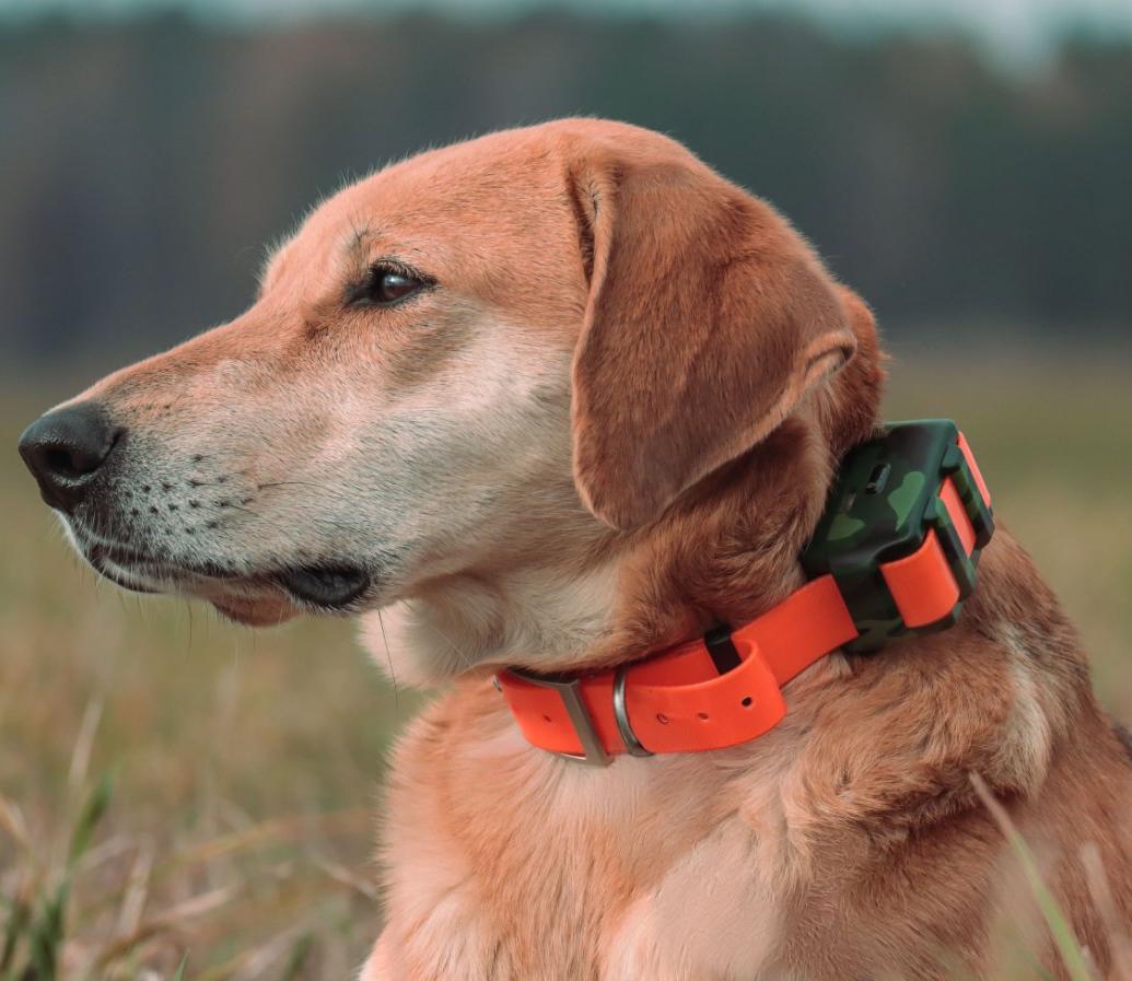 ICAR IK122M 2000mah Dog GPS Co – обзор и цена Outdoor Hunting Dog Collar