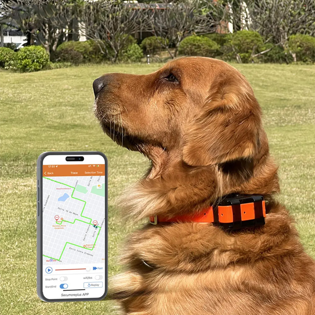 CY09A Portable Pet GPS Tracker – обзор и цена Outdoor Hunting Dog Collar