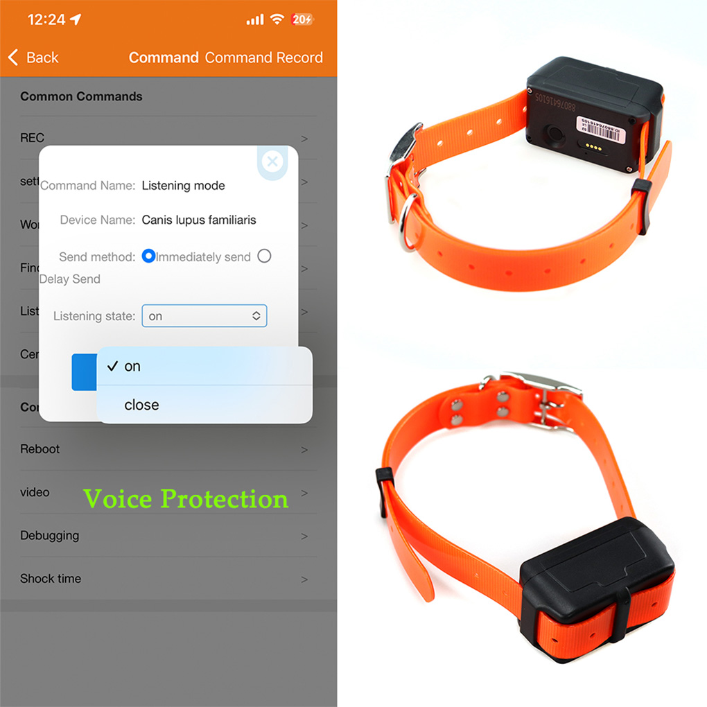 CY09A Portable Pet GPS Tracker – обзор и цена Outdoor Hunting Dog Collar