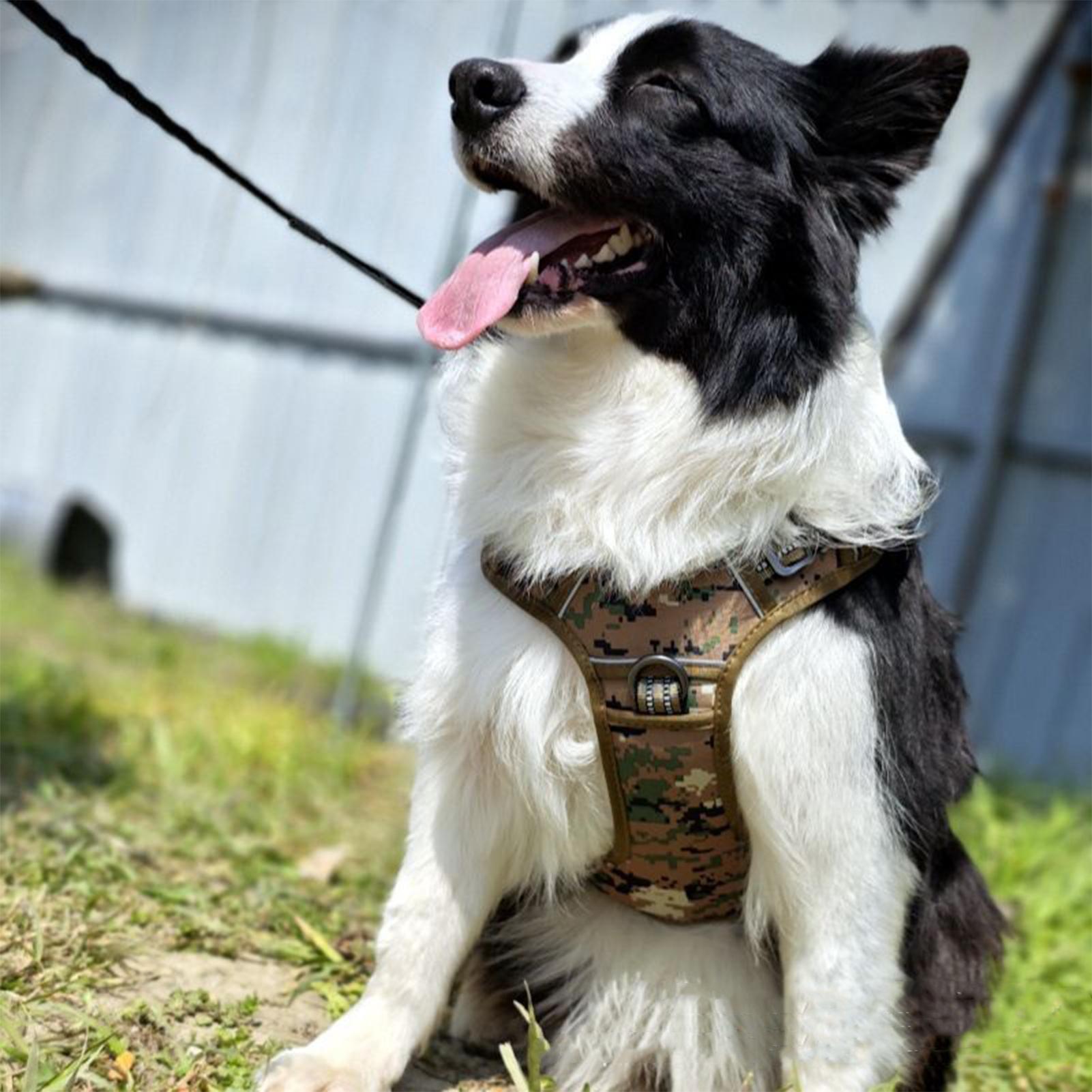Heavy Duty Dog Harness Heavy D – обзор и цена Outdoor Hunting Dog Collar