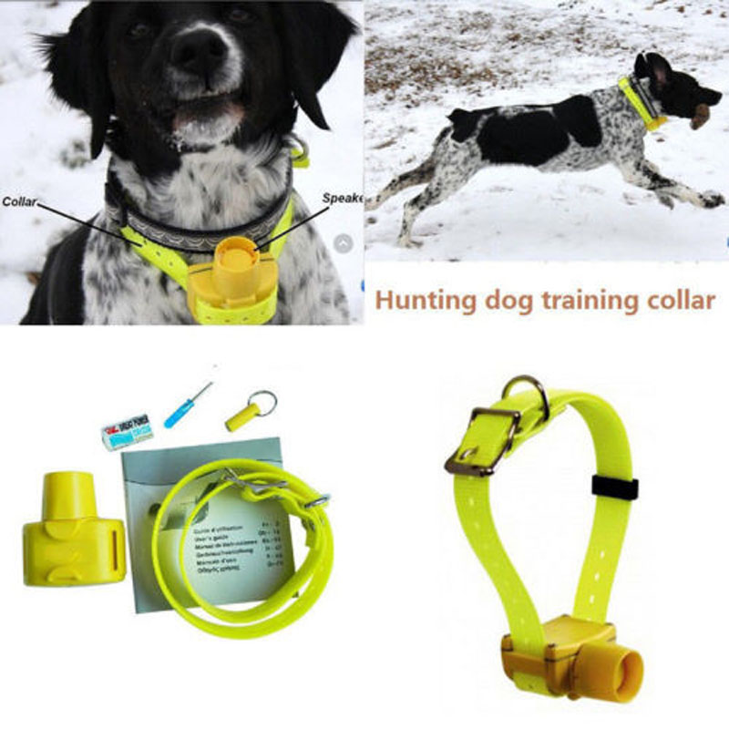 Professional Hunting Dog Beepe – обзор и цена Outdoor Hunting Dog Collar