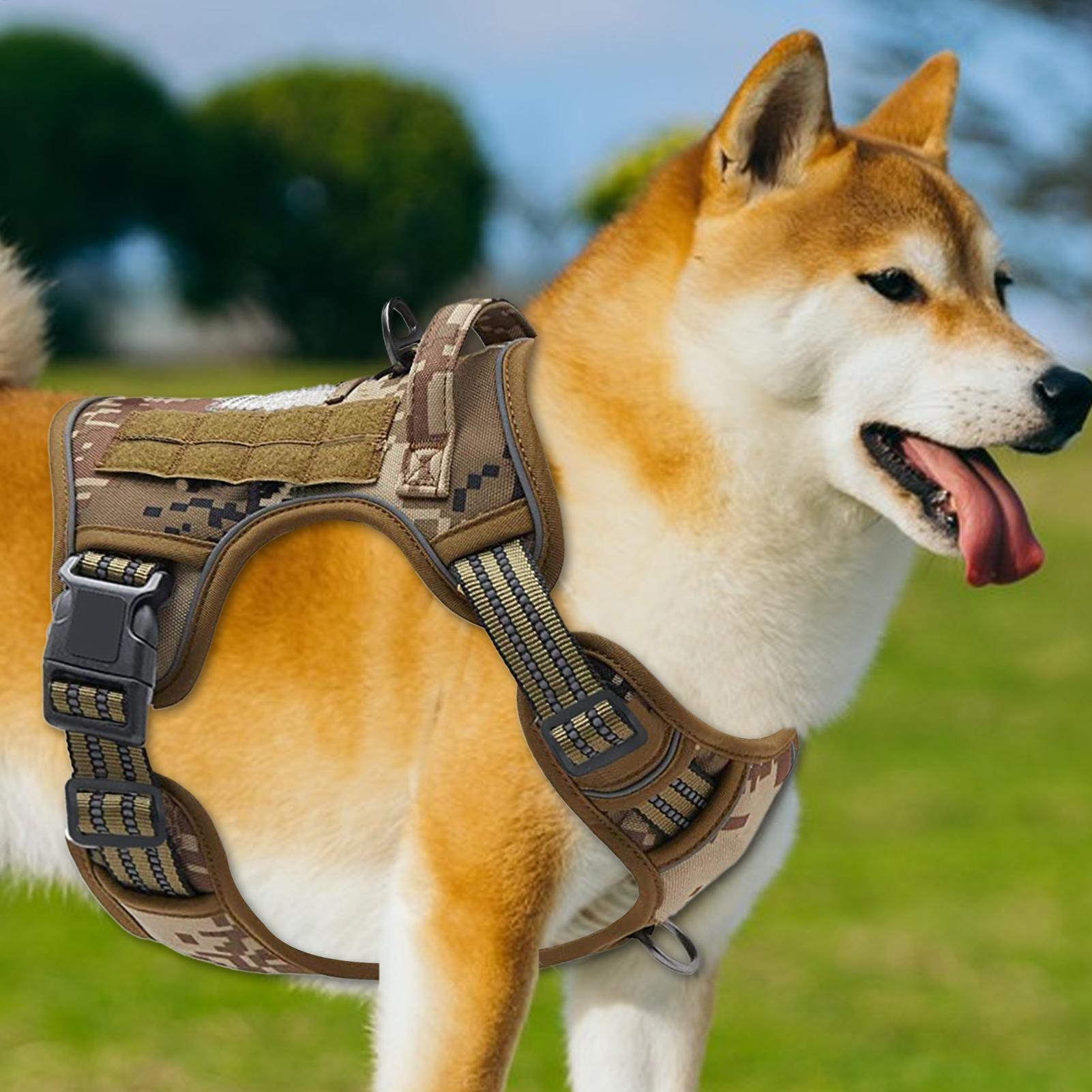Heavy Duty Dog Harness No Pull – обзор и цена Outdoor Hunting Dog Collar