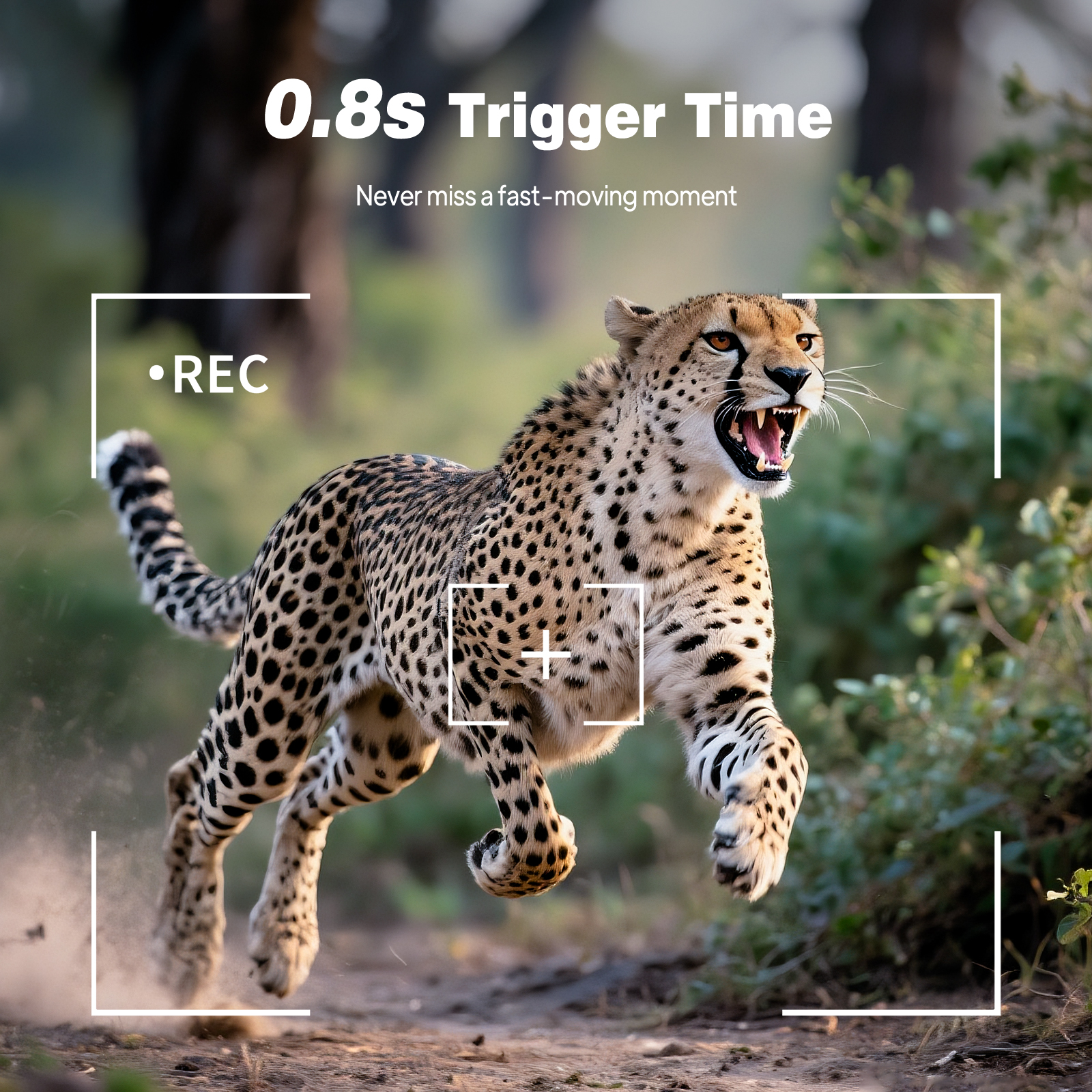 HD Infrared Hunting Camera 2.4 – обзор и цена Outdoor Hunting Videos