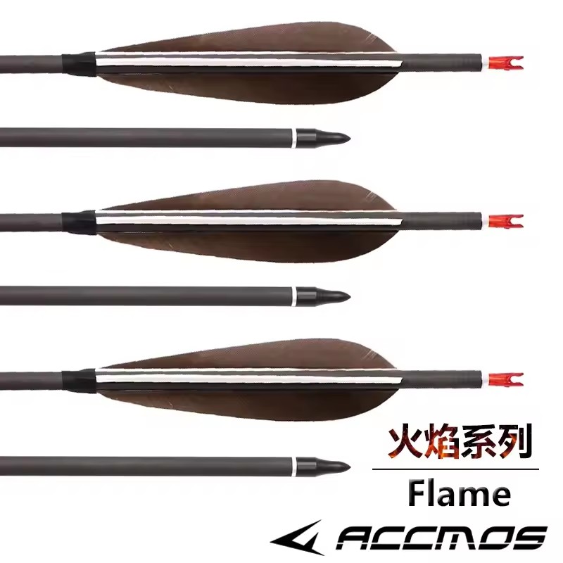 ACCMOS 33inch Pure Carbon Arro – обзор и цена Hunting Bow Compound