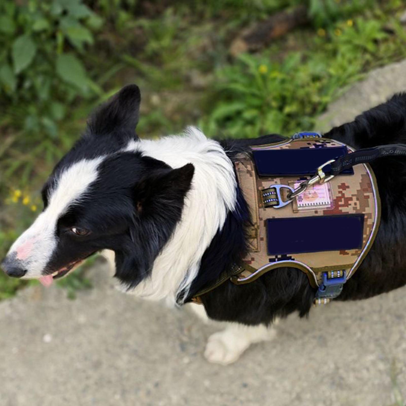 Dog Vest Harness Metal Buckle  – обзор и цена Outdoor Hunting Dog Collar