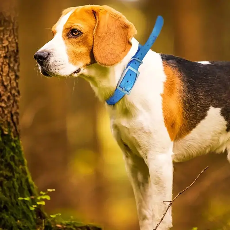 TPU Outdoor Pet Safety Collar  – обзор и цена Outdoor Hunting Dog Collar
