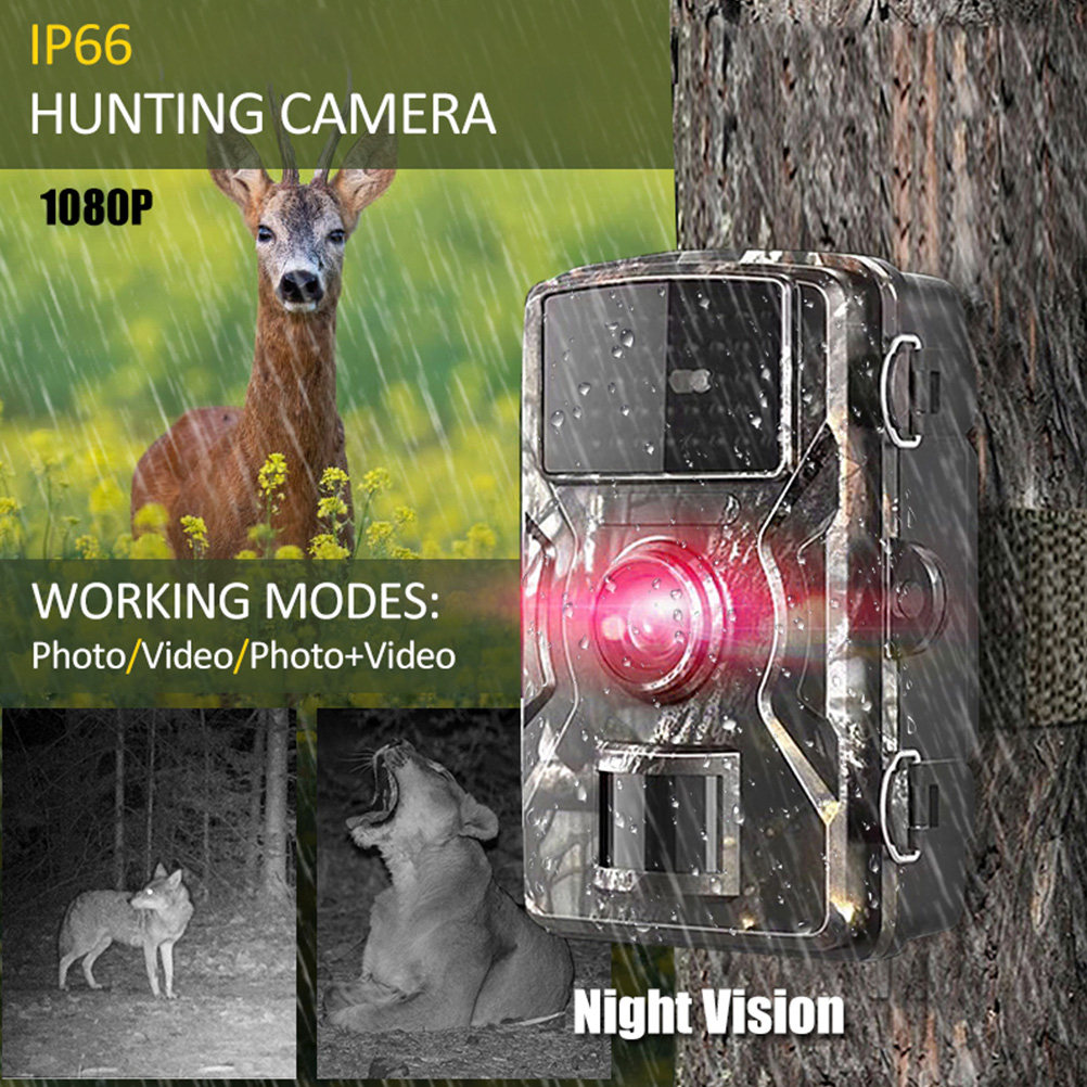 Hunting Game Camera 12mp Pir N – обзор и цена Outdoor Hunting Videos